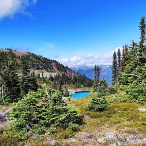 Meet your Posher, Fariah